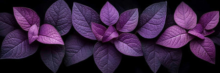 Purple leaves for backgrounds or wallpapers and designs. Purple nature background. The dark background adds a sense of depth and contrast to the sceneの素材