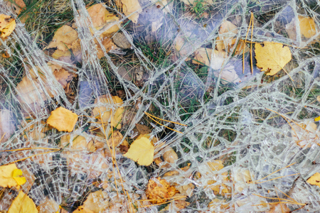 Broken glass lies on the ground with autumn leavesの写真素材