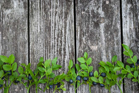 Fresh blueberries on twigs, on a wooden table. Place for textの写真素材