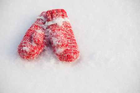 Mittens in snow. Red knitted gloves in winterの写真素材