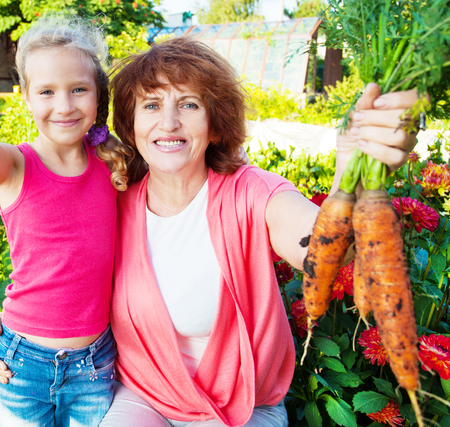 Woman grows harvest in the garden. Senior with carrotの写真素材