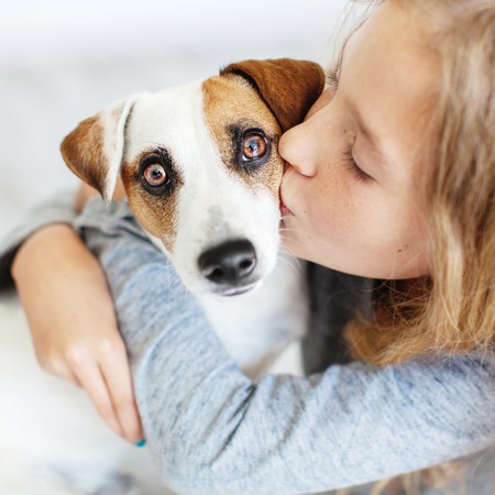 Happy child with dogの写真素材