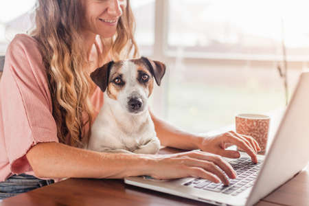 Female Hands Working On Laptop With Cute Dog. Freelancer working at home next to a puppyの写真素材