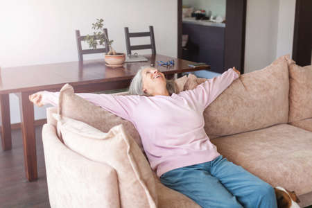 Portrait happy healthy middle aged woman sitting on comfortable couch at home. Smiling pleasant 50s elderly gray-haired mother looking at camera, posing in modern living roomの写真素材