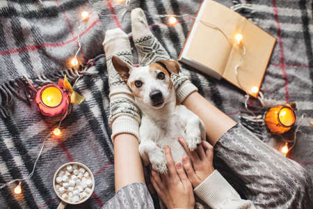 The dog lying between the legs of the owner. A woman dressed in warm cozy clothes plays with a puppy sitting on a knitted blanketの写真素材