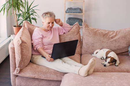 Front view concentrated pleasant mature older woman looking at computer screen. Happy middle aged...
