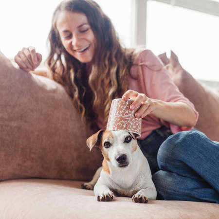 Happy woman with fun dog on the couch at home. Female with pet on sofaの写真素材