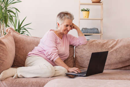 Front view concentrated pleasant mature older woman looking at computer screen. Happy middle aged lady web surfing information, ordering food online, chatting in social networks, playing game.の写真素材