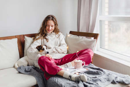 Young woman and her adorable jack russell terrier puppy sitting on couch cozied up, covered with blanket. Lazy afternoon at home with loved pet concept. Close up, copy space, interior backgroundの写真素材