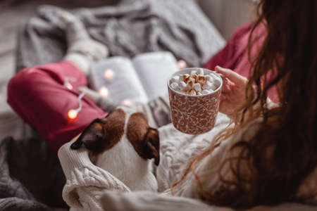 Cup of tea or coffee and chill. Woman sitting on couch drinking hot cacao and enjoying morning, being in dreamy and relaxed mood. Girl play with dog at homeの写真素材