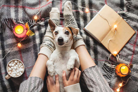 Woman wearing cozy warm wool socks relaxing at home, drinking cacao, winter morning concept, top view. Soft, comfortable lifestyleの写真素材