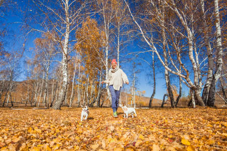 Middle aged cheerful woman runs with dogs in autumn park. Lady with pets in orange hat plays with yellow leaves in the forestの写真素材