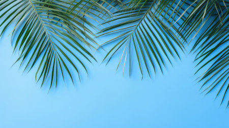 Palm leaf shadow, blue wall, summer backgroundの素材