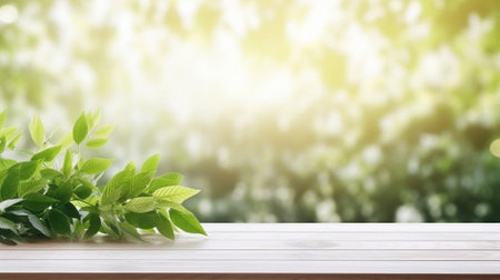 Window, plant on white wooden windowsill, blur summer backgroundの素材