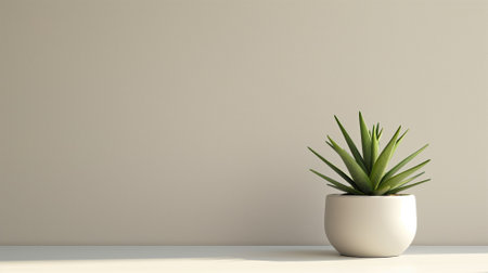 A green succulent plant in a white pot on a white shelf with light backgroundの素材