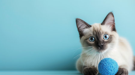 Adorable Siamese kitten with striking blue eyes playing with a blue yarn ballの素材