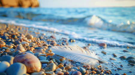 White feather on pebble beach with gentle waves at sunsetの素材