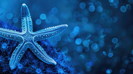 Close-up of starfish on coral against blurred blue underwater backgroundの素材