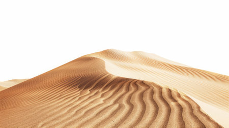 Wind-shaped sand dunes with ripples in desert landscapeの素材