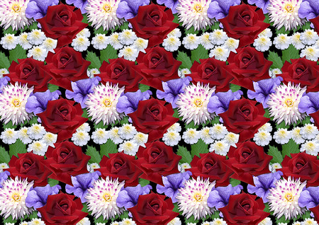 Horizontal seamless background with roses dahlias astersの写真素材