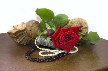 Red rose with shells and beads of garnet and pearlsの写真素材