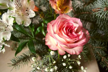 Bouquet of Alstroemerias  with  yellow-pink rose  and silver fir twigs on light wooden tableの写真素材