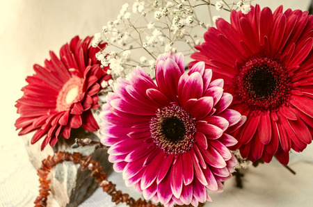 Bright bouquet of red gerbera  with amber beads on a light wooden tableの写真素材
