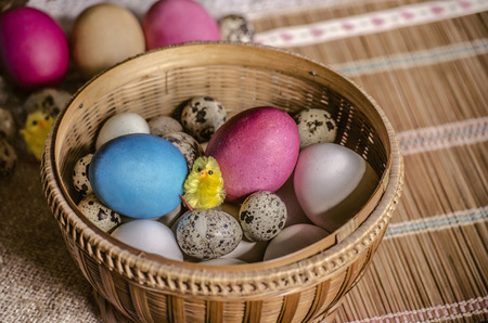White fresh chicken eggs and quail eggs with painted Easter eggs and a toy yellow tsiplenok in a straw basket lying on a straw rugの写真素材
