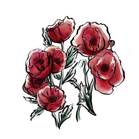 red flowers isolated on white backgroundの写真素材