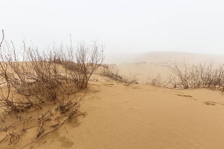 Barkhan Sarykum. Dagestan, Russia. Sand mountain in the Caucasus. Dune. High quality photo