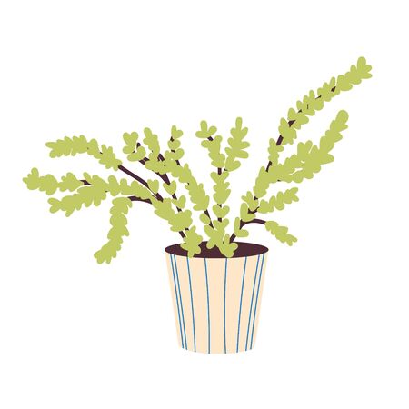  Home plant in a beige ceramic pot Decorative home plant. Tropical indoor flower. Indoor flower isolated on a white background. Flat vector illustration. Vector illustrationのイラスト素材