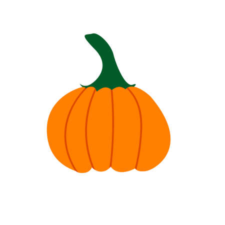 Pumpkin vector flat illustration. Pumpkin for Halloween and thanksgiving day design. Organic autumn vegetablesのイラスト素材