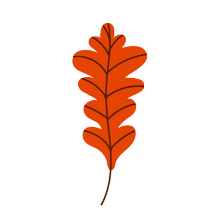 Orange oak leaf isolated on a white background. Fallen oak leaf. Flat vector illustration. Autumn leavesのイラスト素材