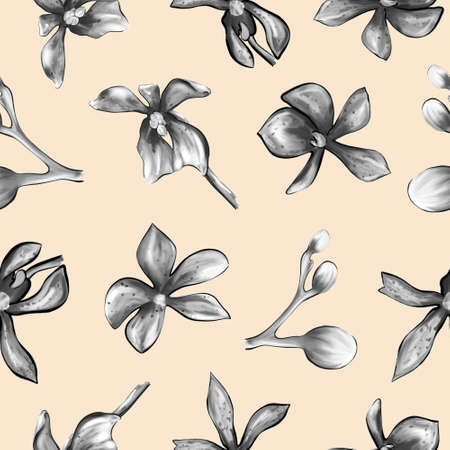 Botanical Orchid Flower Patternの写真素材