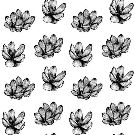 Saffron seamless pattern . Crocus flower pattern. Hand-drawn vector illustrationのイラスト素材