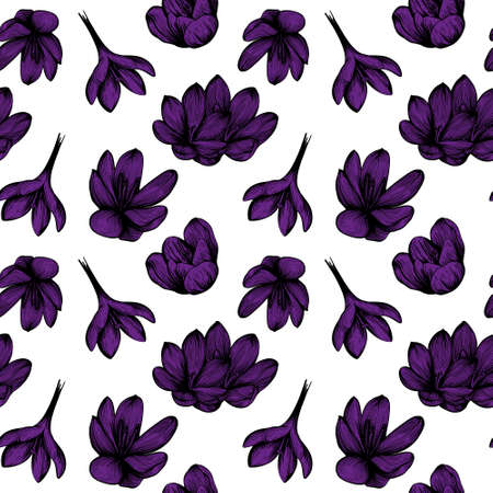 saffron seamless pattern sketch.Purple crocus flower pattern. Hand-drawn vector illustrationのイラスト素材