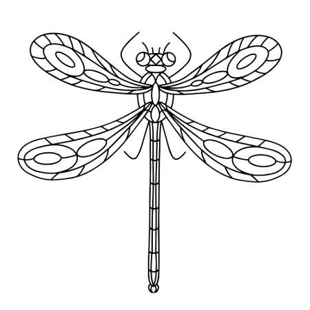 Dragonfly Beetle-Insect coloring book. Dragonfly linear vector illustration. Anti-stress coloring book for adults and childrenのイラスト素材