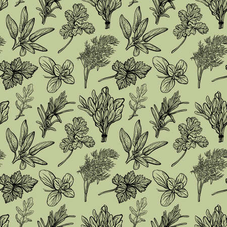 Italian herbs seamless pattern. Provencal condiments and herbs pattern. Mediterranean cuisine. Hand-drawn vector illustrationの写真素材