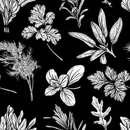 Italian and Provencal herbs seamless pattern. Mediterranean seasonings and herbs pattern. Hand-drawn vector illustrationのイラスト素材
