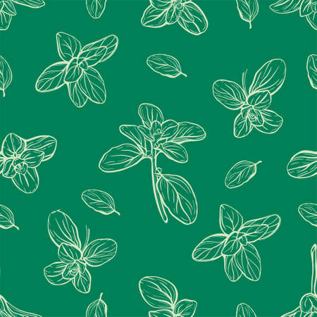 Basil Seamless Pattern. Italian herbs.A sprig of marjoram. Basil is a fragrant and fragrant seasoning. Hand-drawn illustrationのイラスト素材
