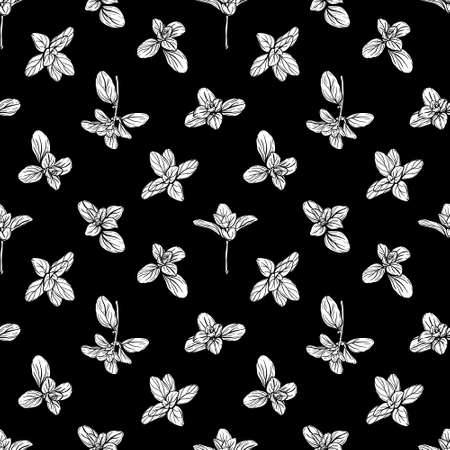 Basil Seamless Pattern. Italian herbs. Marjoram pattern. Hand-drawn illustrationのイラスト素材