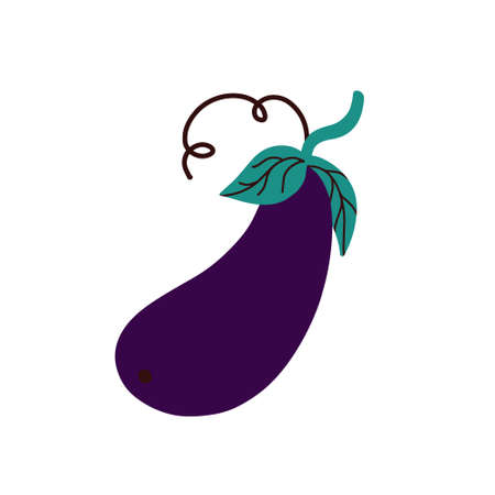 vegetable aubergine on a white background.Eggplant vector illustrationのイラスト素材