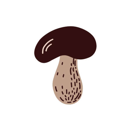 Forest mushroom. Vector illustrationのイラスト素材