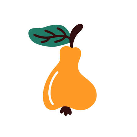 Ripe pear on a white background.Vector illustrationのイラスト素材