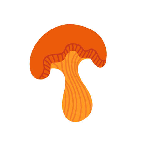 Chanterelle on a white background. Vector illustration in the doodle styleのイラスト素材
