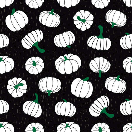 White pumpkins on a black background. vector illustrationのイラスト素材