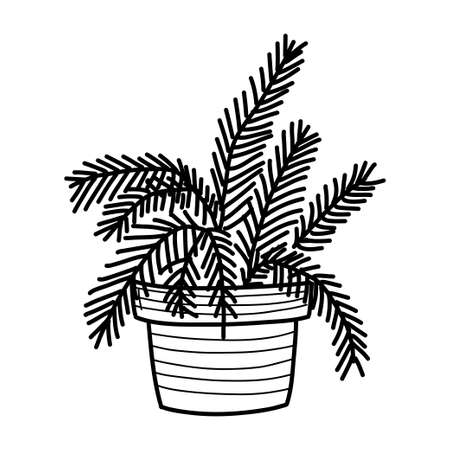 home plants in pot. sketch in doodle styleのイラスト素材