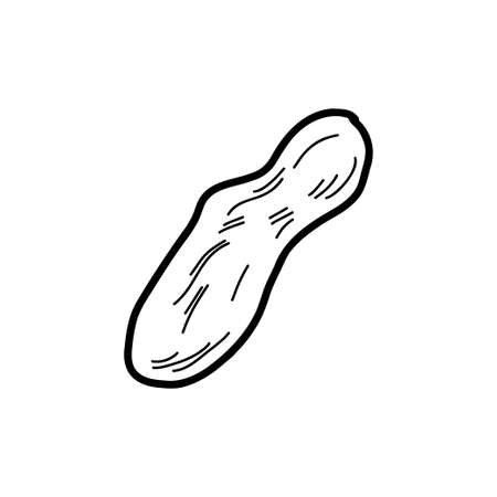 Stone sketch. Vector illustration in the style of a doodleのイラスト素材