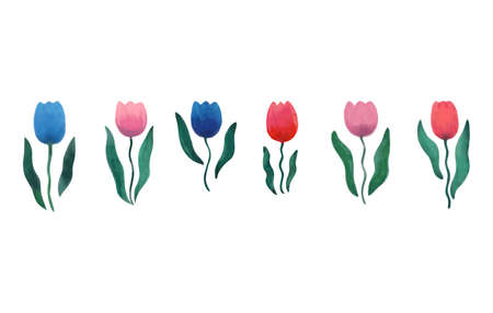 Collection of spring tulip flowers. Watercolor illustrationのイラスト素材