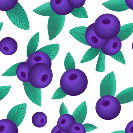 seamless pattern with blueberriesの写真素材